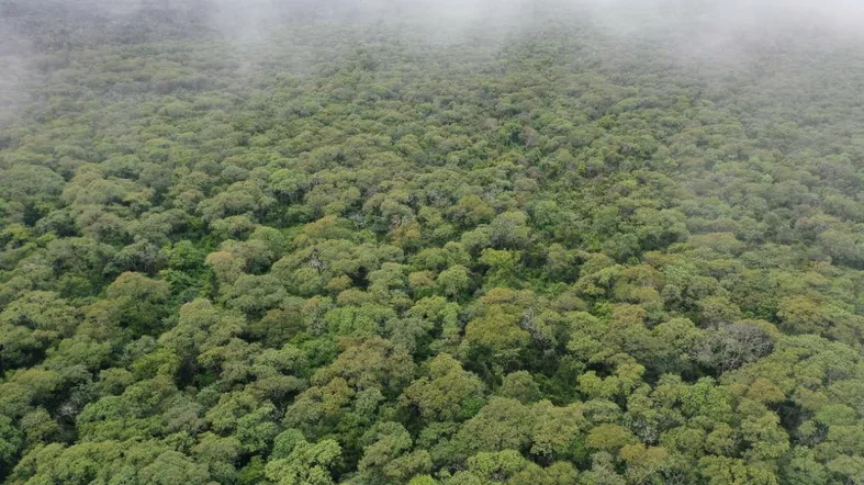 Standort Gran Chaco – Nachbar Amazonasgebiet für den Schutz der Lunge der Welt