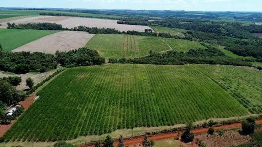 Luftaufnahme unserer Plantagen zwischen Feldern und Waldstücken